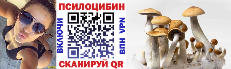 наркотики  Торжок  Псилоцибиновые грибы Magic Shrooms 